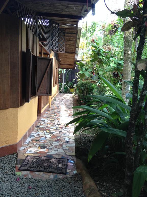 Vila La Casa De Rolando Puerto Viejo de Talamanca Exteriér fotografie
