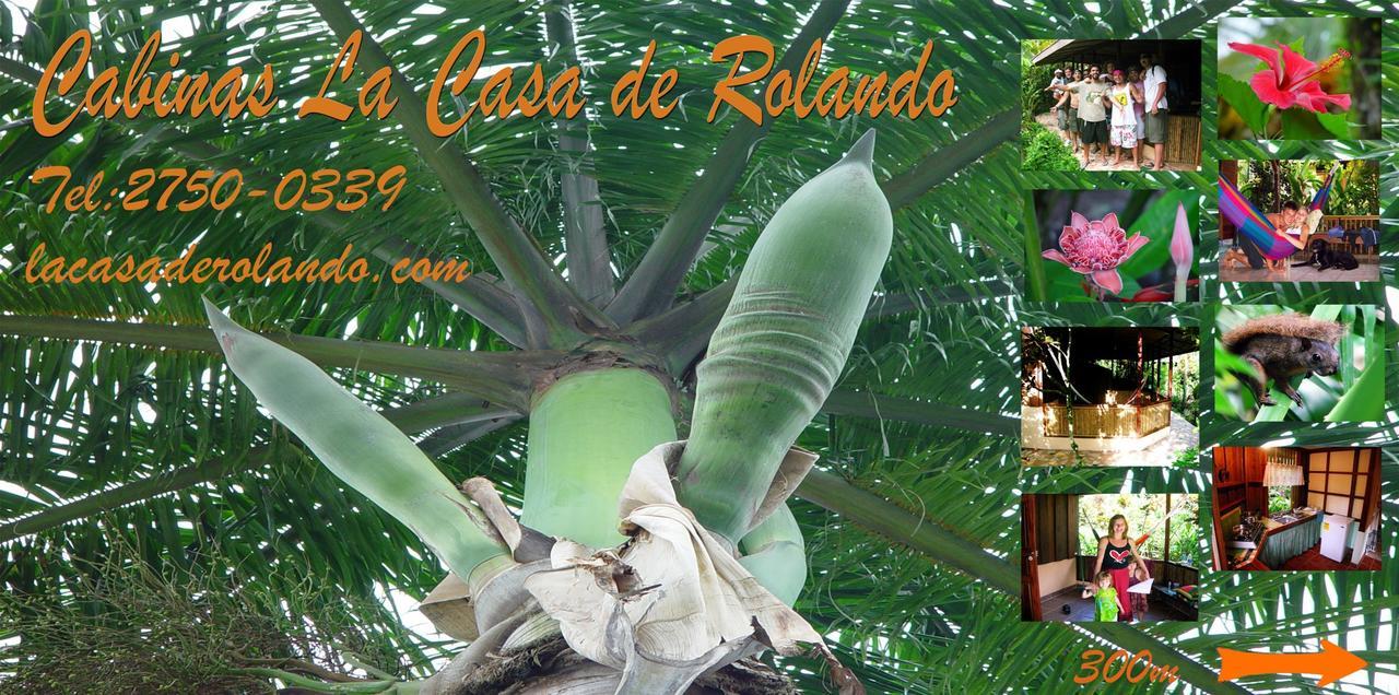 Vila La Casa De Rolando Puerto Viejo de Talamanca Exteriér fotografie